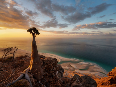 TravPholer 無待壯遊索科特拉之旅