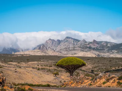 TravPholer 無待壯遊索科特拉之旅