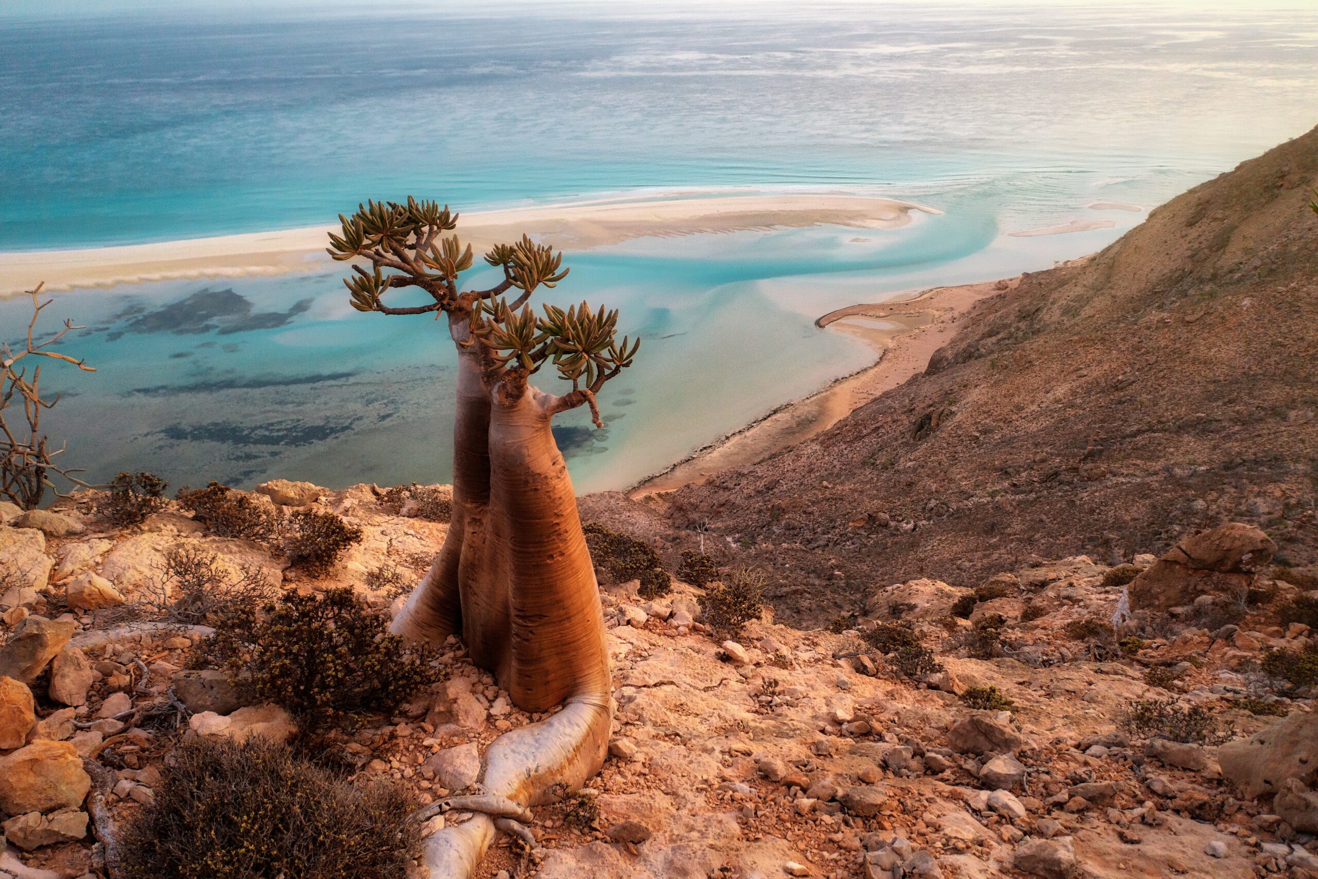TravPholer Socotra Tour