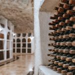 Family Winery Visit 家族酒莊參訪(Vesuvius Winery)