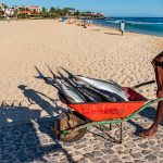 Fish Market 漁市場