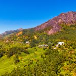 Kolukkumalai Jeep Safari(科魯庫馬萊越野吉普)