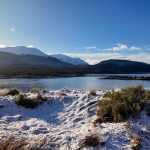 Lapataia Bay 拉帕塔亞灣