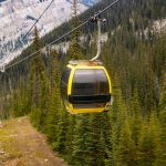 Local Specialties & Mountain Activities(山頂特色體驗)