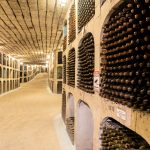 Milestii Mici Winery 米列什蒂米奇酒莊