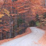 Piatra Craiului National Park(Day 1-2)Piatra Craiului National Park(Day 1-2)