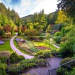 The Butchart Gardens 美景布查特花園