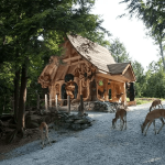 午餐休息(Lunch Break)