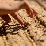 咖啡育苗與採摘體驗(Seedling Planting & Cherry Picking)