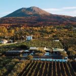 火山坡酒莊 (Cantina Del Vesuvio Winery Russo Family since 1930)