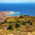 Return to Mindelo 下山返程