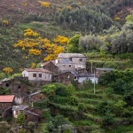 São Pedro Village (聖佩德羅漁村)