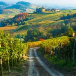 Tasting Session 3款酒品鑑