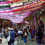 Zărnești Gateway(扎爾內什蒂入口)