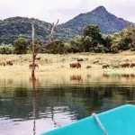 斯里蘭卡 米內里亞國家公園3