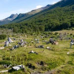 阿根廷 火地島國家公園