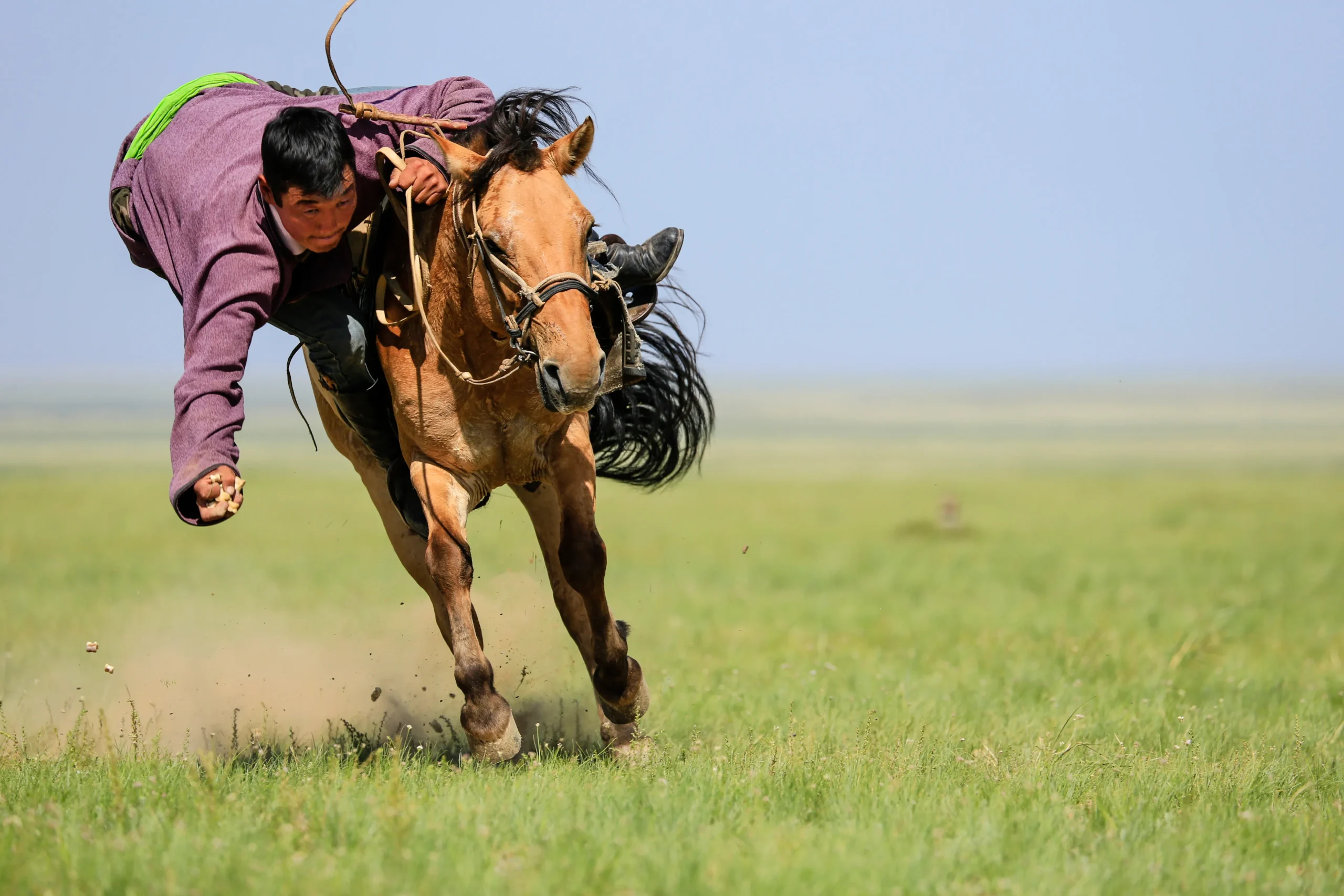 蒙古那達慕馬術